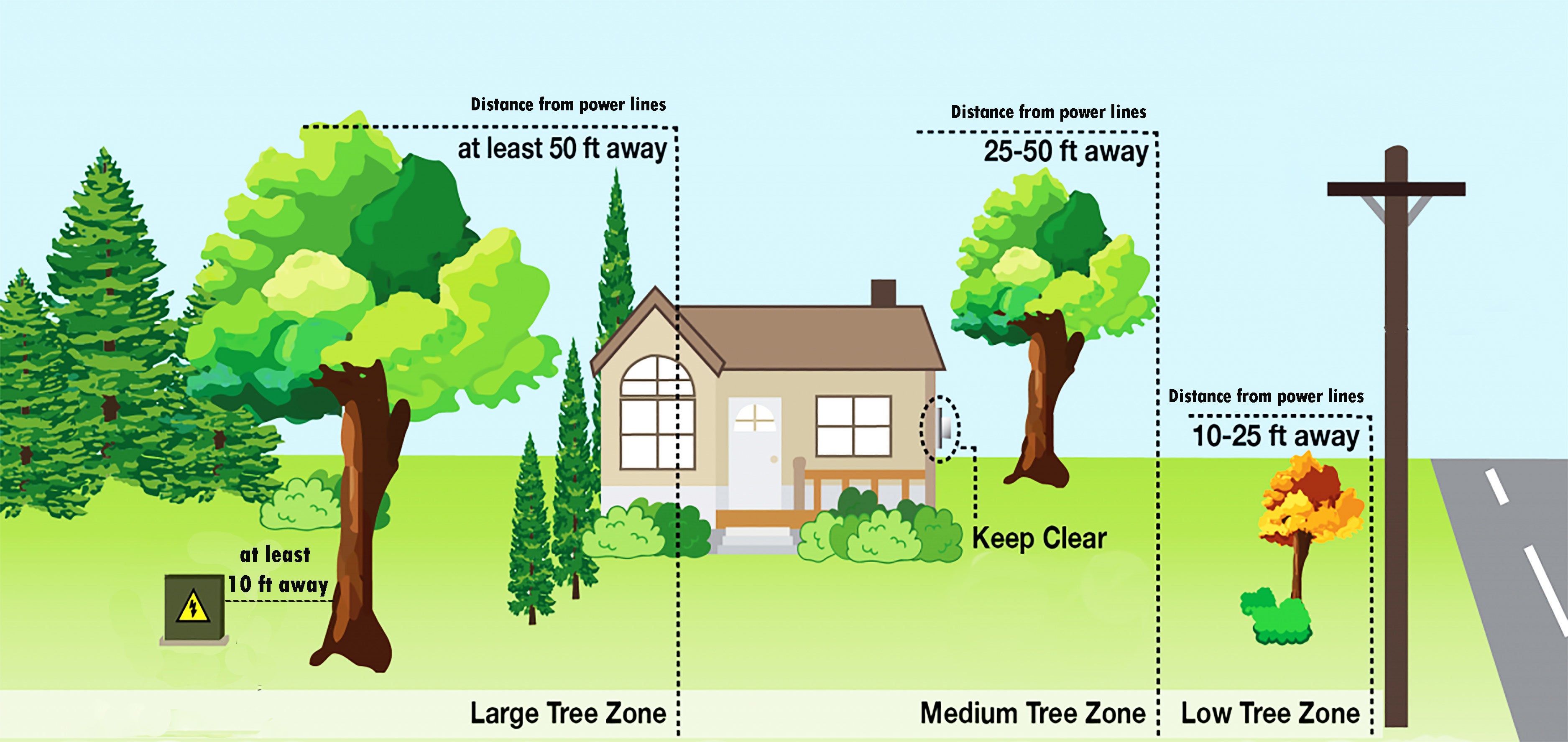 TreePlanting