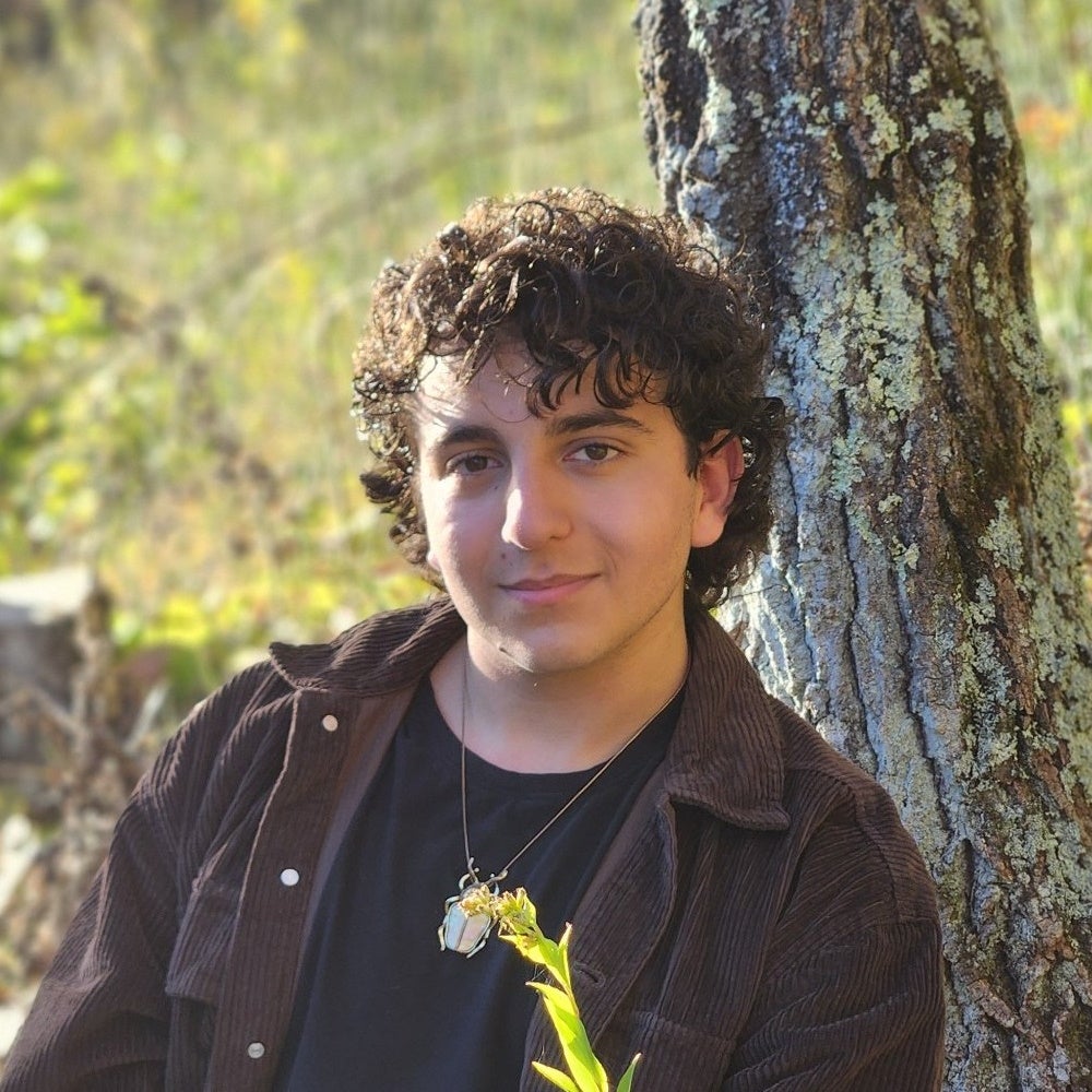 Dakota Almizyed